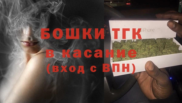 ГАЛЛЮЦИНОГЕННЫЕ ГРИБЫ Арсеньев