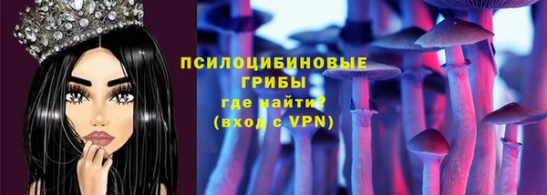 ГАЛЛЮЦИНОГЕННЫЕ ГРИБЫ Арсеньев