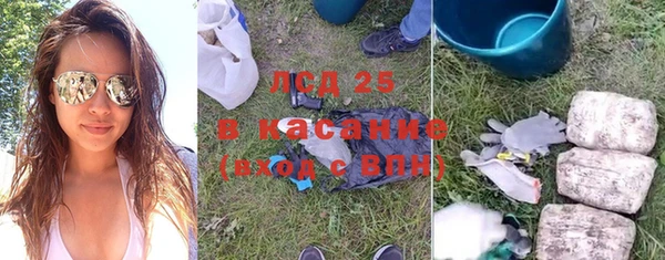 ГАЛЛЮЦИНОГЕННЫЕ ГРИБЫ Арсеньев