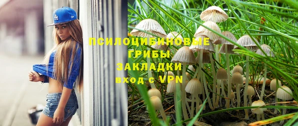 ГАЛЛЮЦИНОГЕННЫЕ ГРИБЫ Арсеньев