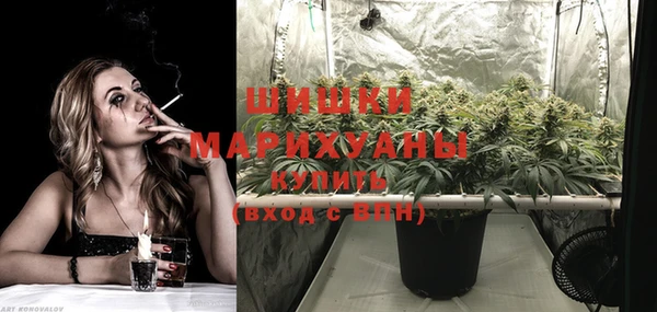 ГАЛЛЮЦИНОГЕННЫЕ ГРИБЫ Арсеньев