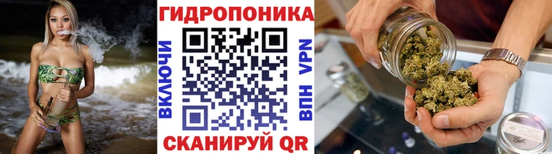 Купить где  Багратионовск  Бошки Шишки THC 21% 